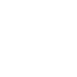 SAM-P-logo
